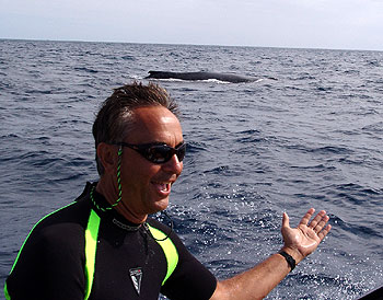 Bob presents the whale
