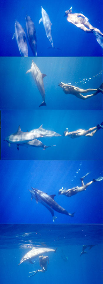 Swimming sequence