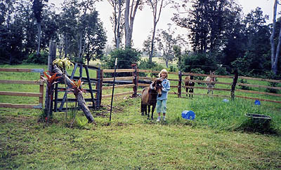 Lindsay and La Plume in the corral