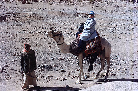 Mom on a camel
