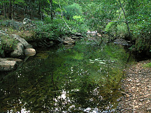 cool clear water