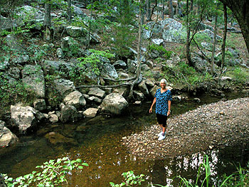 Babbling brook