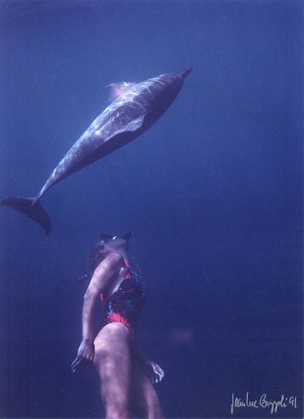 &COPY;1991, Jean-Luc Bozzoli.  All Rights Reserved.